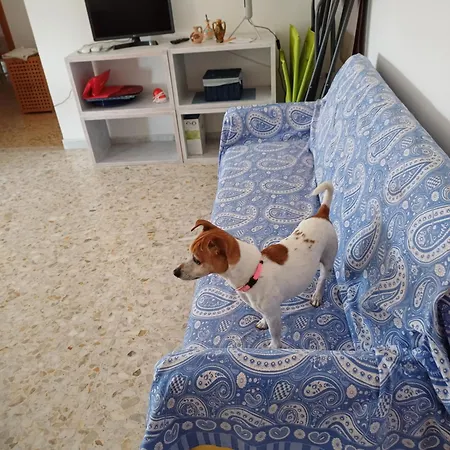 O Marinariello Holiday home