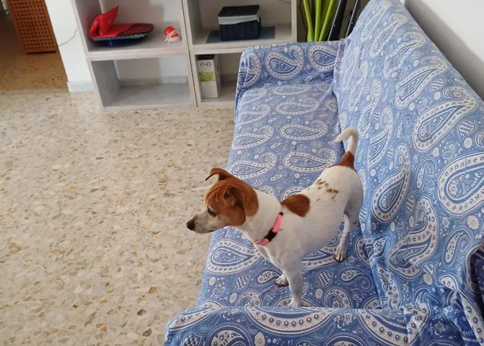 O Marinariello Casa de Férias